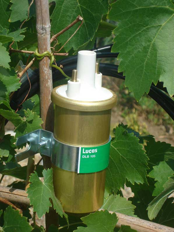 Lotus Elan Electrical