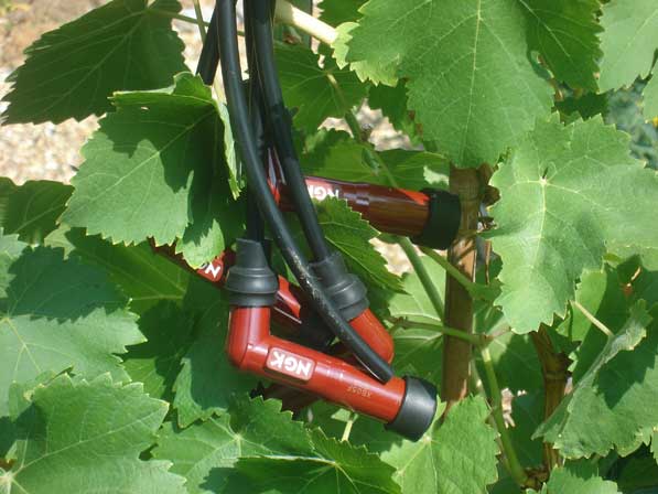 Lotus Elan Electrical