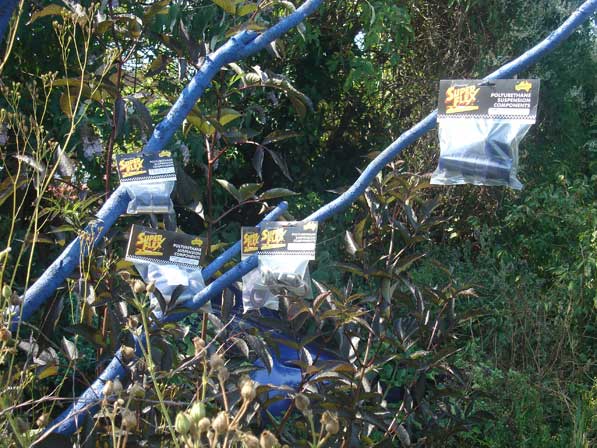 SUPERFLEX POLYURETHANE BUSHES